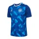 Danska Golmanski Nogometni Dresovi Euro 2024 Plava