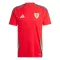 Wales Nogometni Dresovi 2024 Domaći