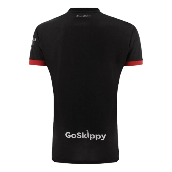 Bristol City Nogometni Dresovi 2024/25 Treći