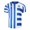 FC Porto Pre-Match Nogometni Dresovi 2024/25