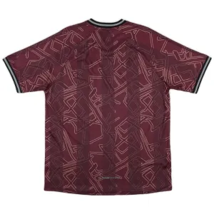 Danska Nogometni Dresovi 2024/25 Posebno Izdanje