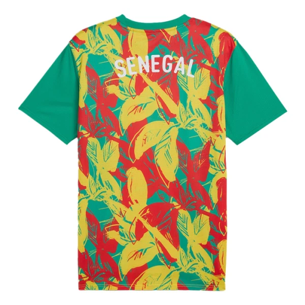 Senegal Pre-Match Nogometni Dresovi 2024/25