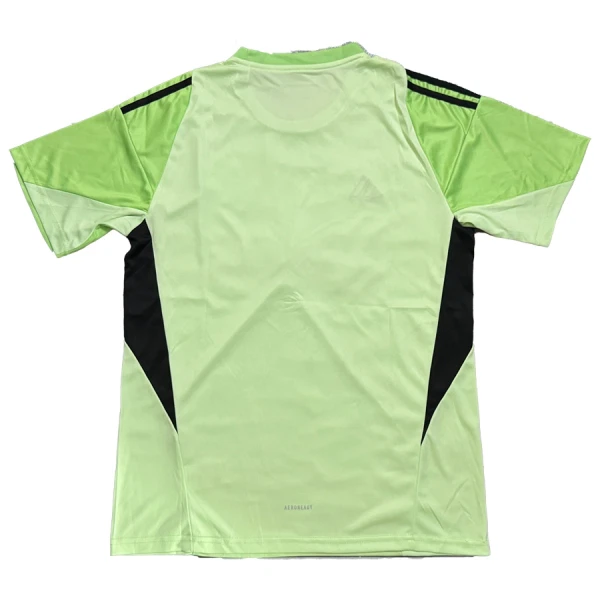 Newcastle United Golmanski Nogometni Dresovi 2025/26