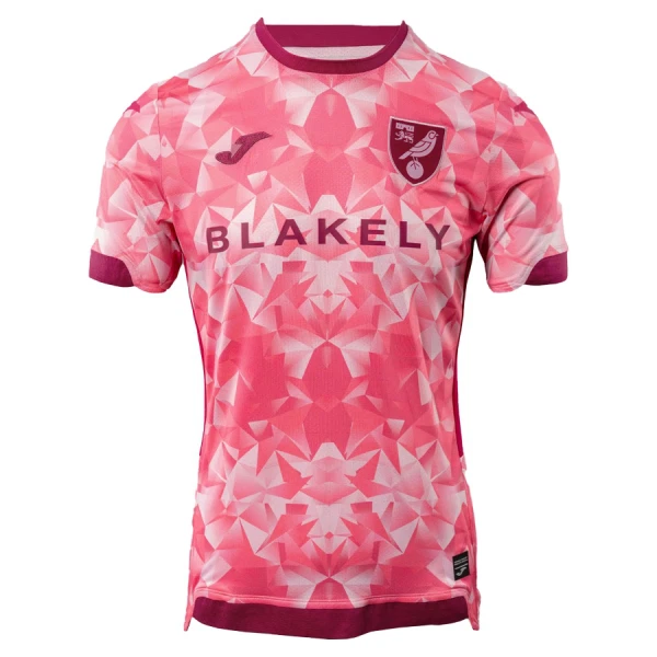 Norwich City Nogometni Dresovi 2025/26 Treći