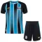 Grêmio FBPA Djeca Nogometni Dresovi 2026/27 Domaći (+ Kratke Hlače)
