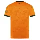Wolverhampton Wanderers Djeca Nogometni Dresovi 2026/27 Domaći (+ Kratke Hlače)