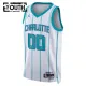 Charlotte Hornets Košarkaški dres Djeca Association Edition Swingman Prilagođeno Bijela