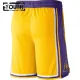 Los Angeles Lakers Košarkaške hlačice Djeca Icon Edition Swingman